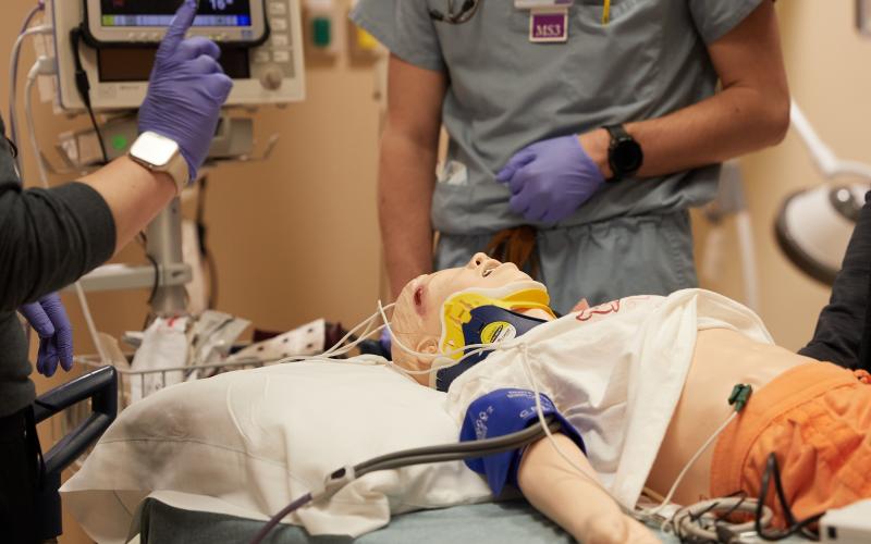 ER simulation