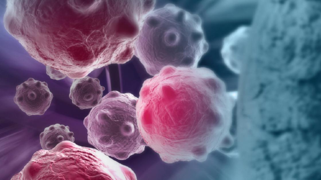 cancer cells